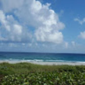 Meet your Posher, Liney